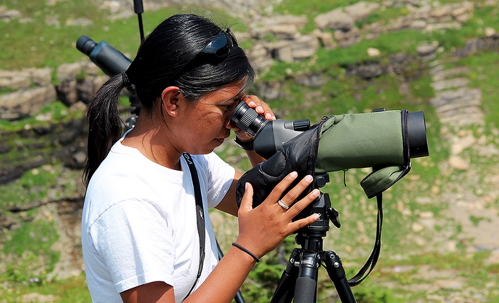 Young woman looks through a scope. Young woman looks through a scope.