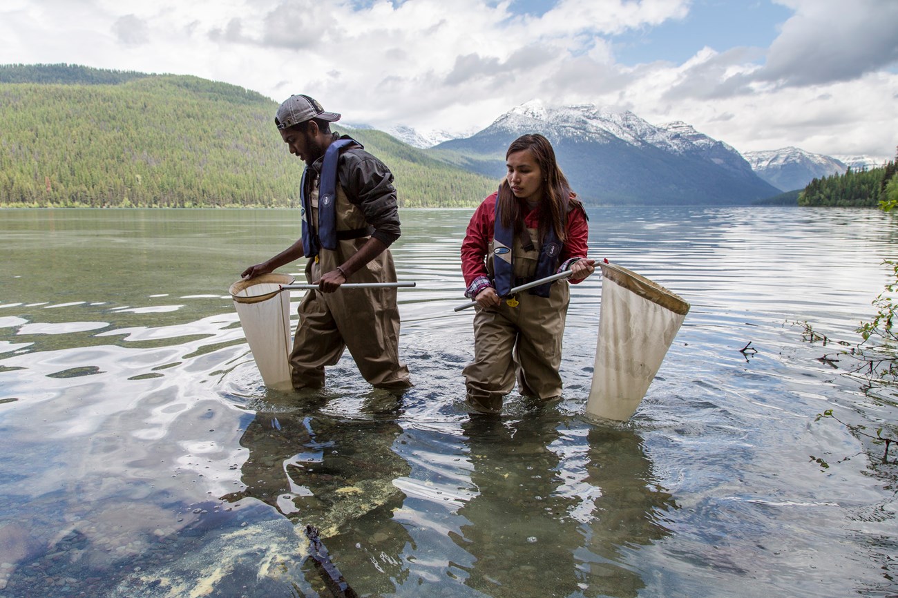 Students use dip nets to search for aquatic invertebrates. Two students, dressed in waders, stand in lake holding dip nets.