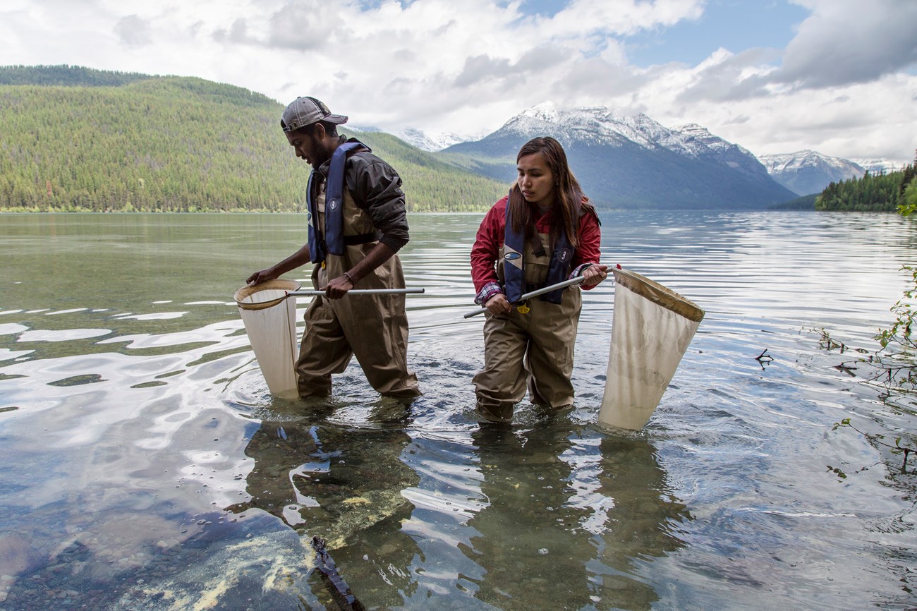 Two students, dressed in waders, stand in lake holding dip nets.