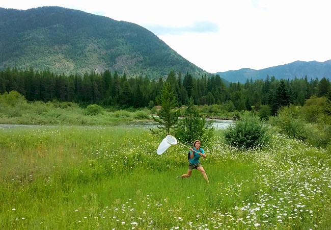 A young man runs through a meadow with a butterfly net. A stream and mountains are in the background.