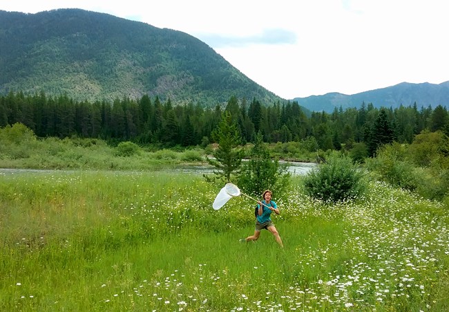 Butterfly BioBlitz participant A young man runs through a meadow with a butterfly net. A stream and mountains are in the background.