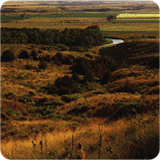 Rolling golden hills of prairie with small part of creek visible in the background.