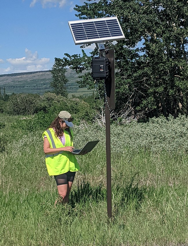 Collecting Traffic Data A woman in a safety vest stands underneath a solar-powered traffic counter and collects data on a laptop.