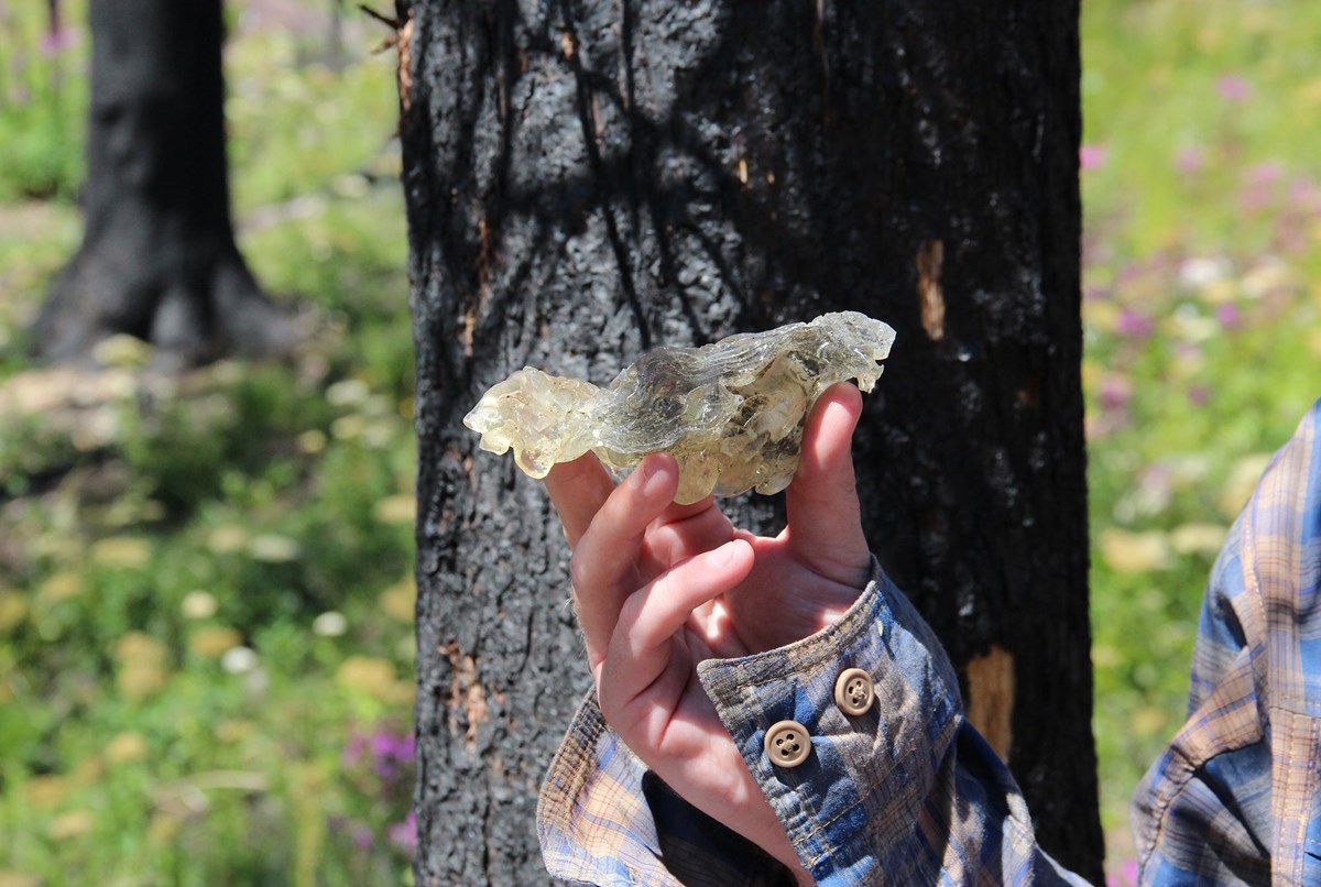 Fire-Fueled Finds (U.S. National Park Service)