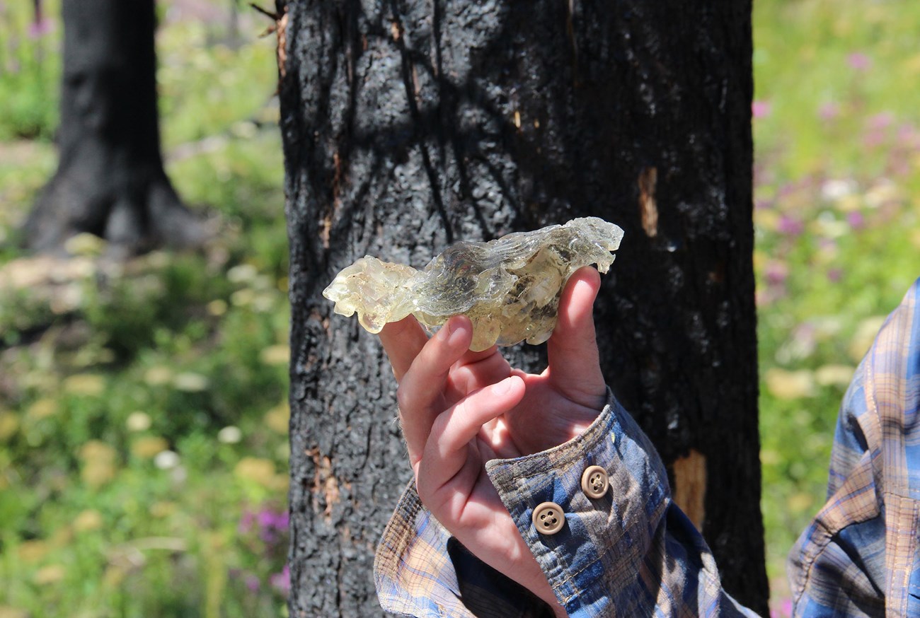 Archeologist holds an oddly-shaped object that looks like crystallized rock.