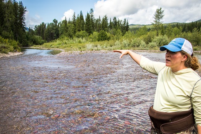 A woman researcher in waders points toward a river.