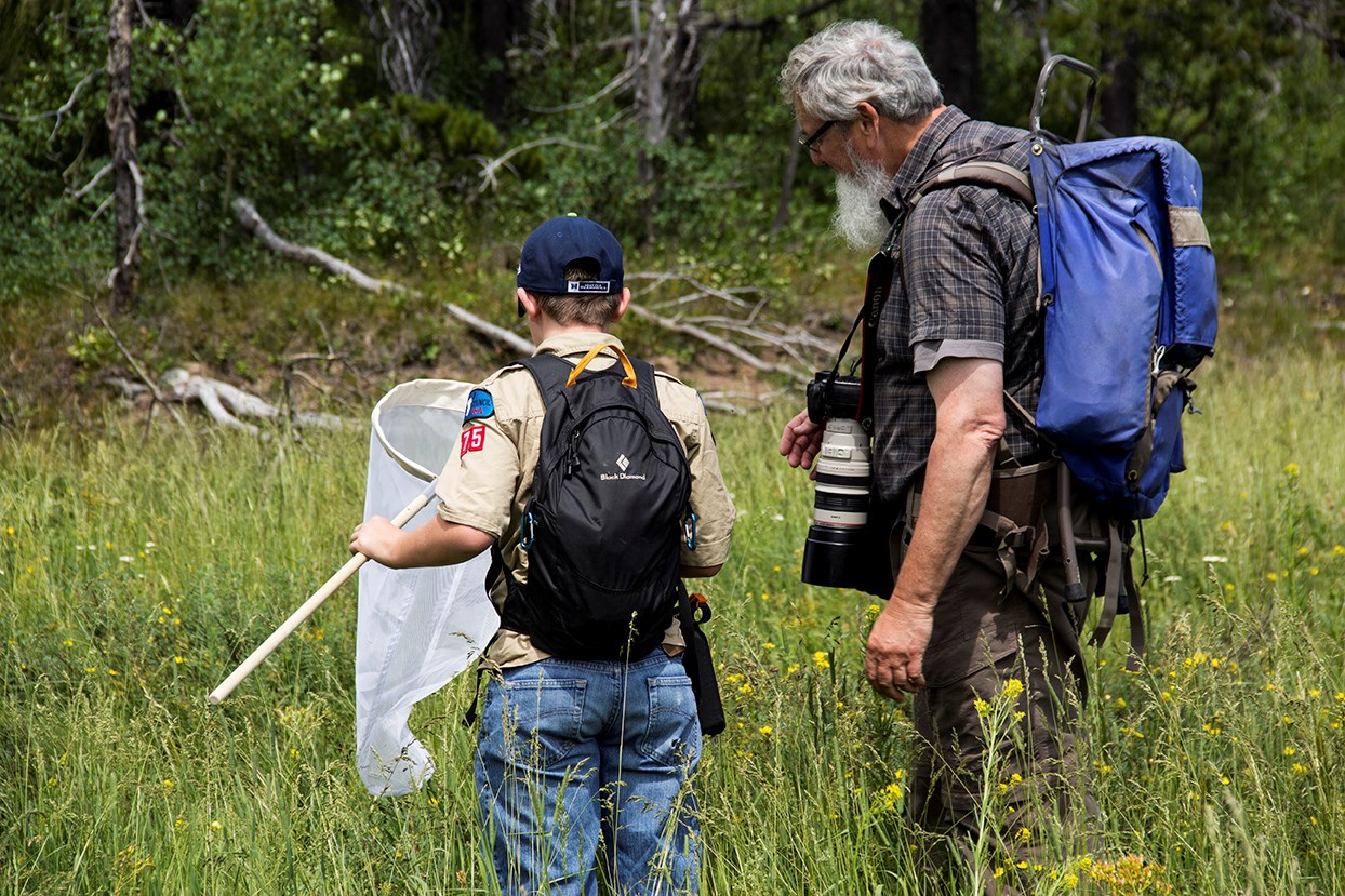 A Boy Scout stands, with back toward camera, in a meadow looking at a butterfly net. A gray-haired man stands beside him.