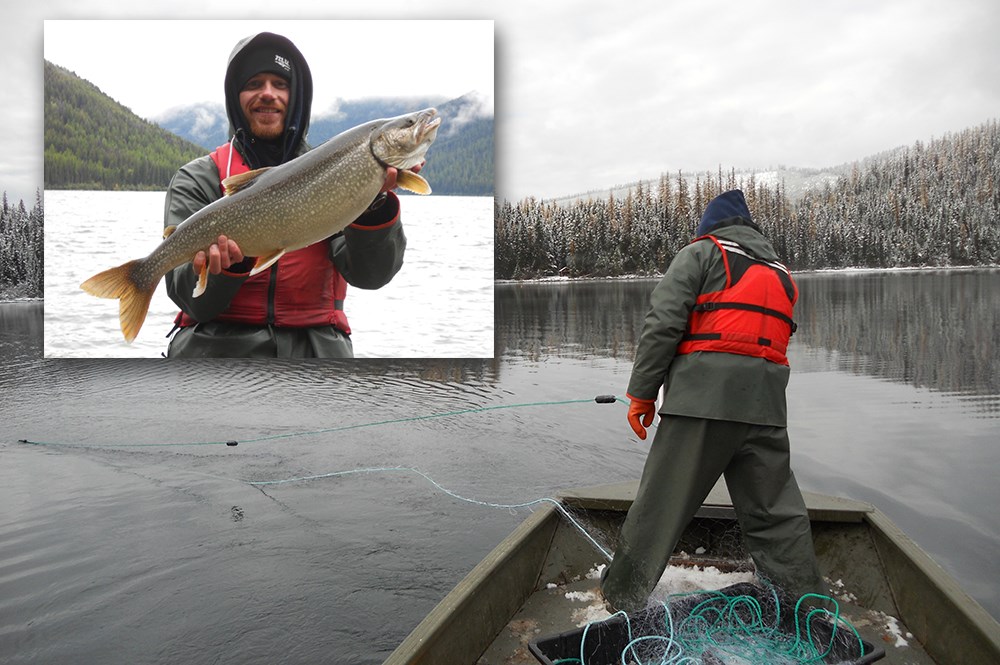 Researcher standing on boat slings net into lake; inset photo shows man holding large lake trout.