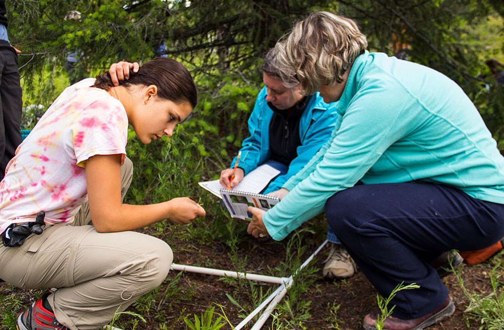 Teachers and student survey a plant plot for invasive species.