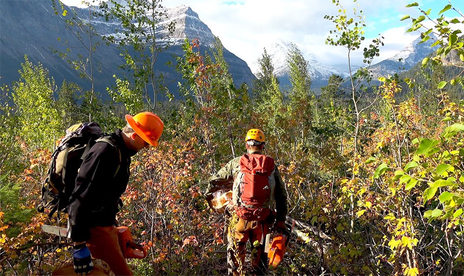 Two men in hard hats carry chainsaws through tall brush. Mountain peaks rise up in background.