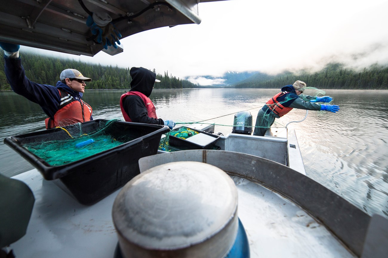 Fisheries crew member throws gill net out from boat.