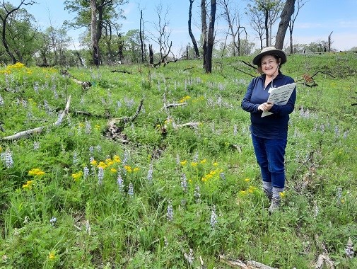 A woman holding a clipboard stands in a field of pale blue and bright yellow wildflowers.