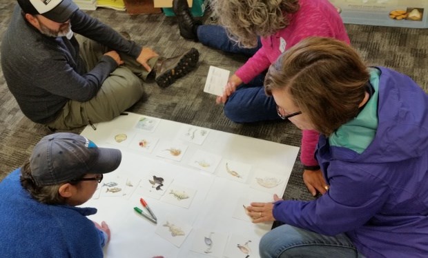 Teachers utilize "creature cards" to learn about Great Lakes food web. Teachers surround a large paper on the floor and utilize "creature cards" to learn about Great Lakes food web.