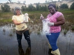 lt= Citizen scientists collect samples from interdunal wetland.
