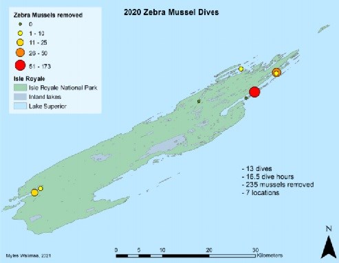 A map of Isle Royale is titled, “2020 Zebra Mussel Dives”. A legend shows that there were 13 dives covering 7 locations, 16.5 dive hours, and 235 mussels removed.  The number of zebra mussels found at each site ranged from zero to between 51 and 173.