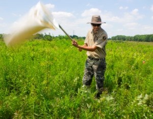 A young man sweeps an insect net as he walks across a prairie.