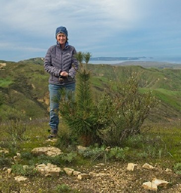 A woman stands near a small pine tree on hilly terrain.  Water and an island are visible in the background.