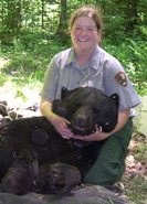 A student intern participates in a bear study.