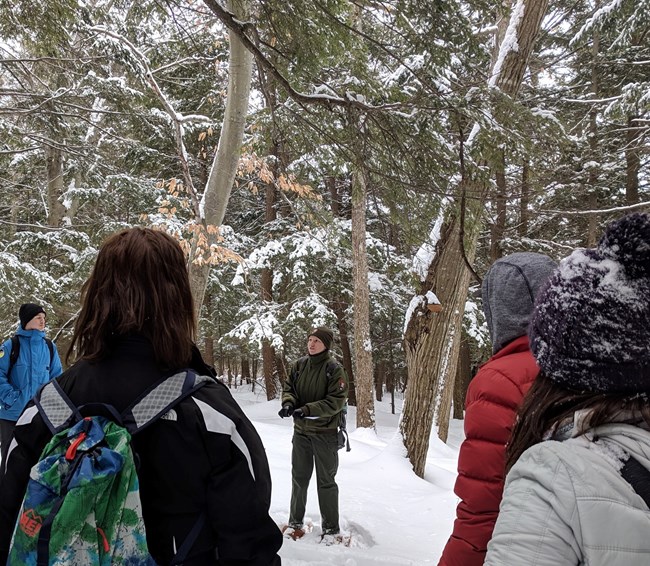 Spend quality time in the outdoors while helping to protect hemlock trees at Sleeping Bear Dunes National Lakeshore! A National Park Service ranger wearing snowshoes talks with a group of people in a snow covered forest.