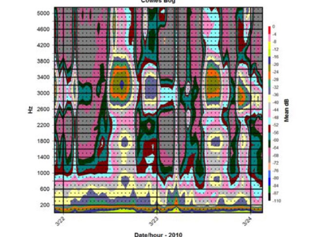 Not only is this image visually stimulating, but it is packed with scientific data! A colorful graph generated by sound analyzing software