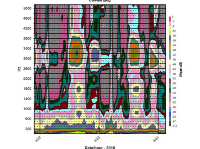 A colorful graph generated by sound analyzing software