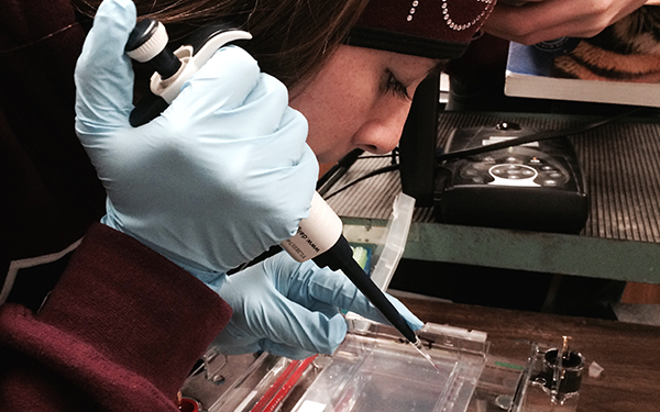 A student uses research equipment.