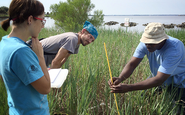 Environmental Stewardship Three student record data in the field.