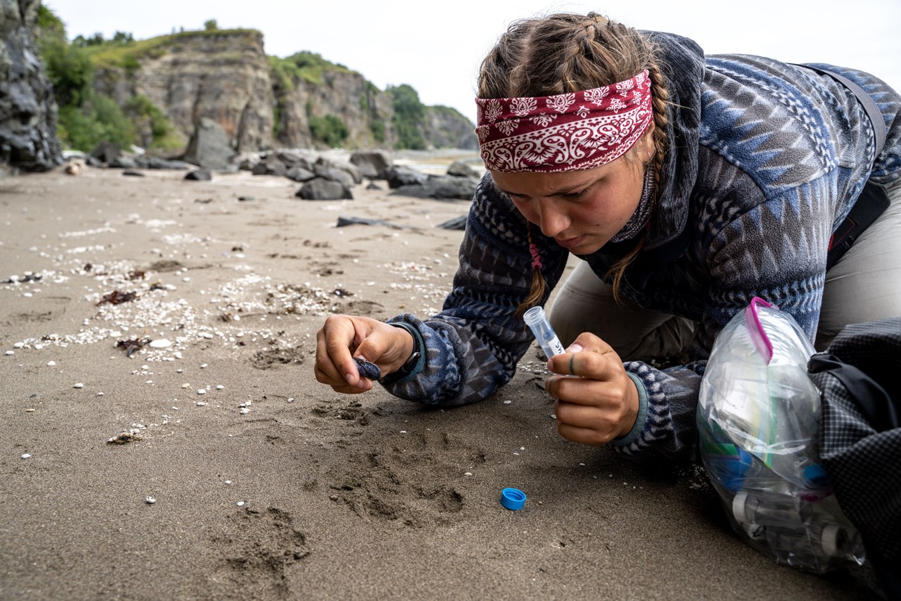 A researcher collects a scientific sample on a sandy beach.