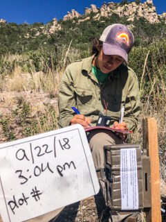 A woman writes down data next to a camera used for remote wildlife photography