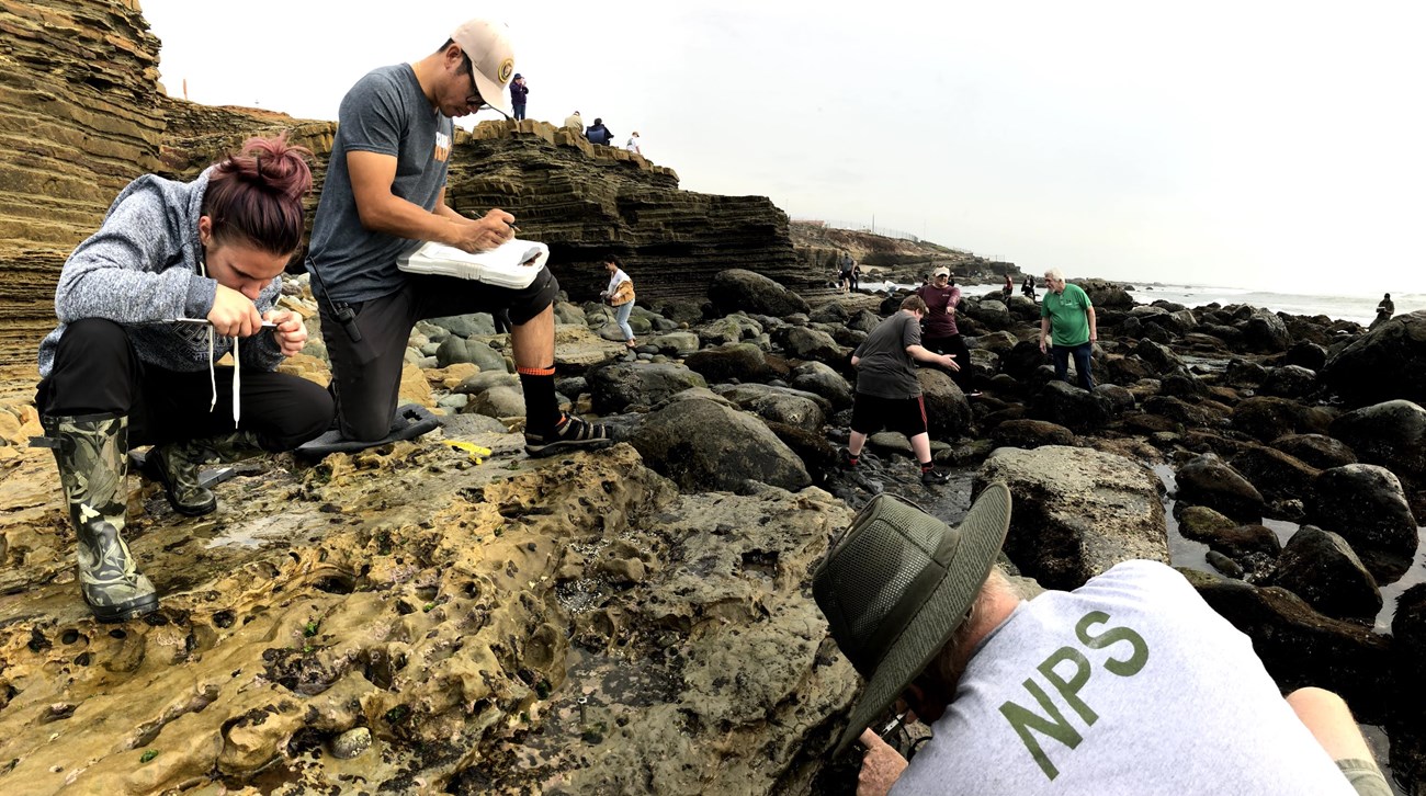 A group of people of all ages examine exposed rocks during low tide.
