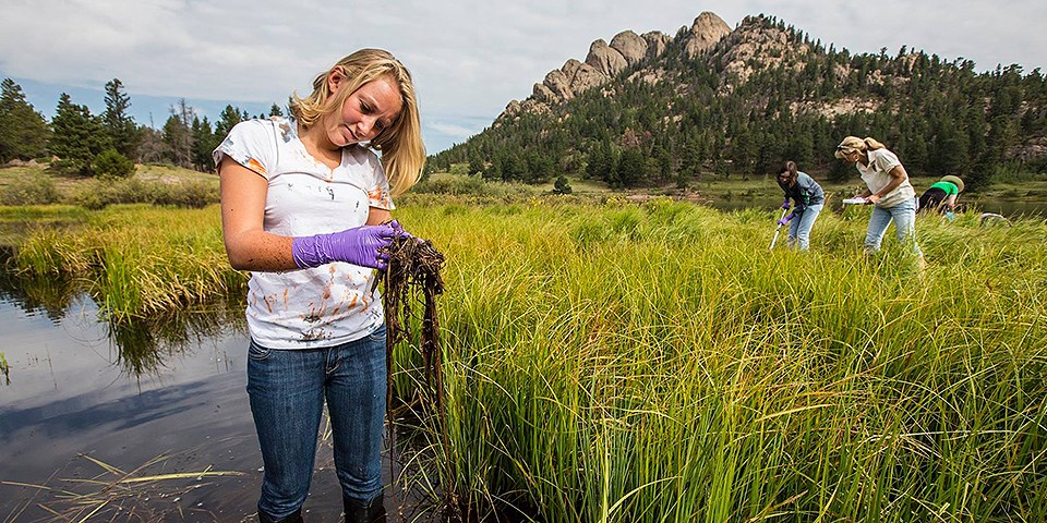 Citizen scientist sampling in Rocky Mountain National Park
