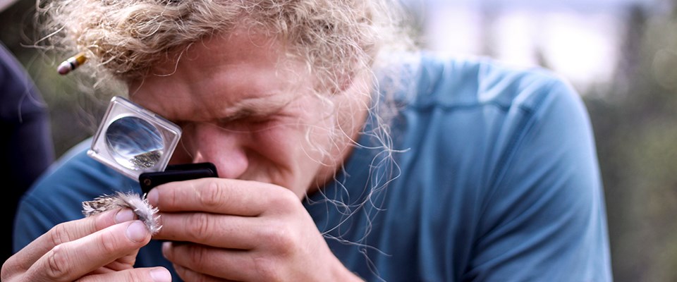 Man looking at feather through magnifying glass 688 x 250