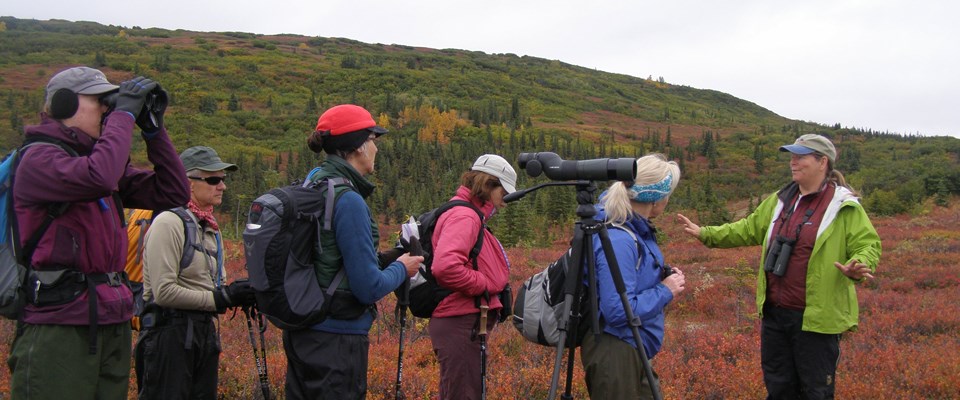 an instructor teaches adults about birding