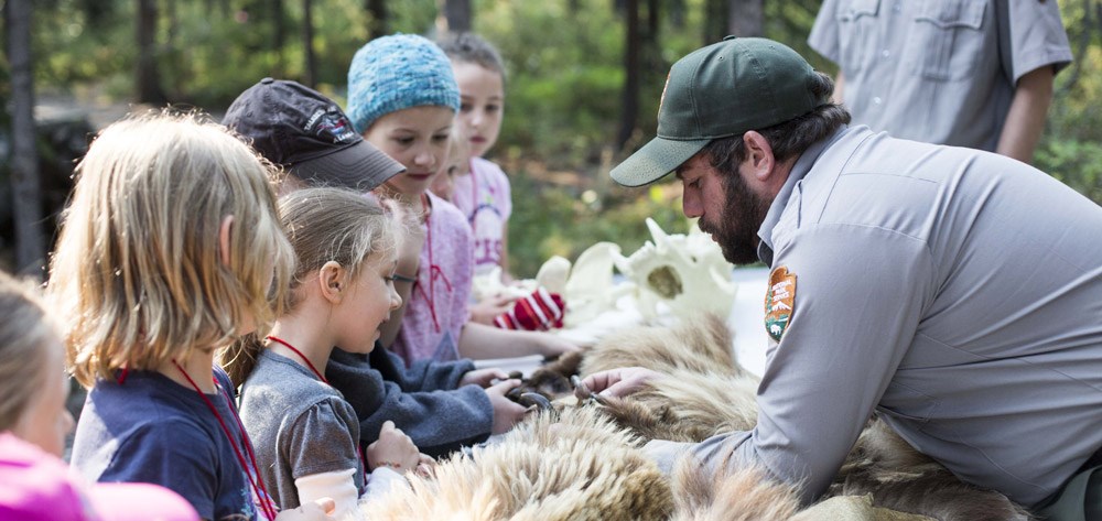 a group of children gather round to learn about a bear pelt from a park ranger a group of children gather round to learn about a bear pelt from a park ranger