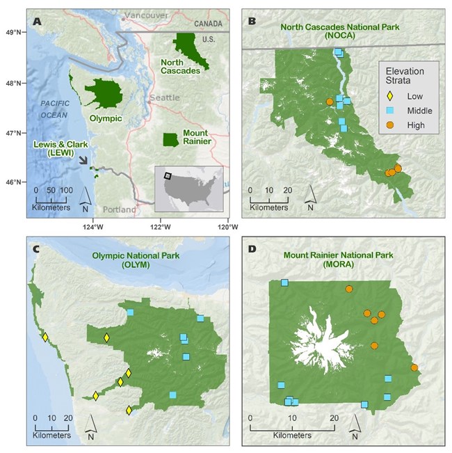 Four maps arranged in a grid. Top left map shows the Pacific Northwest with Olympic, North Cascades, Mount Rainier, and Lewis and Clark labeled. Remaining three maps show the location of study plots in each park.
