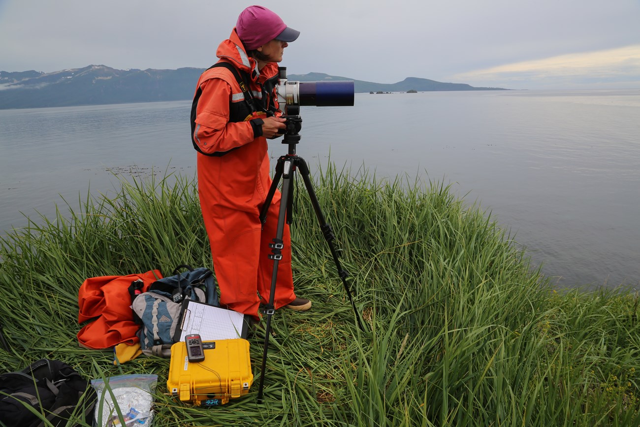 A researcher in coastal Alaska A researcher in coastal Alaska