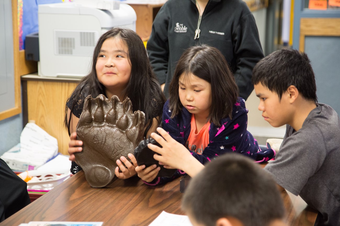 Students examine wildlife tracks Three students examine brown rubber reproductions of wildlife tracks in a classroom.