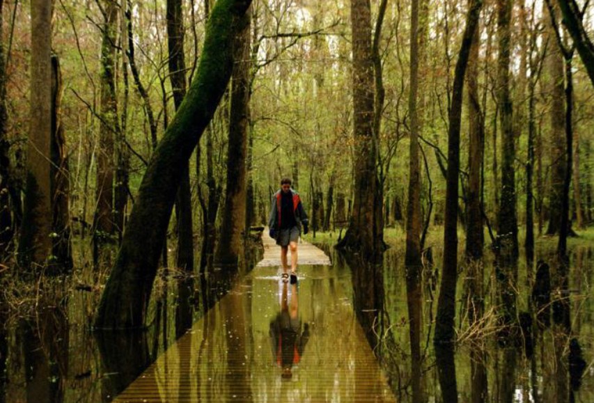 CONGfloodedboardwalk