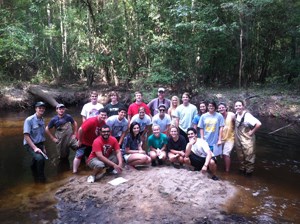 lt= Stream Assessment