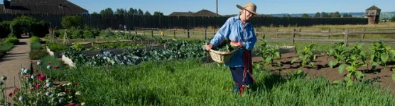 A staff member helps maintain a native garden at a NPS site