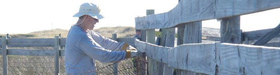 Park staff members mend fences on the barrier islands