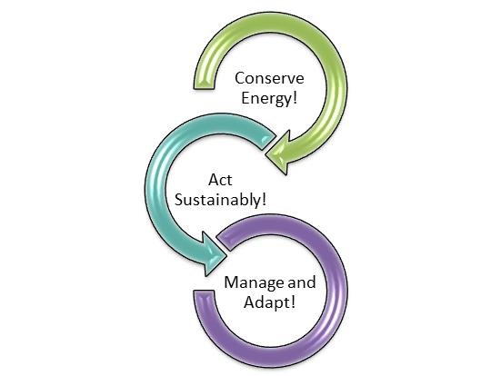 Cape Lookout employs several strategies to combat climate change including conserving energy, acting sustainably, and managing & adapting!