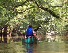 lt= Visitors spend time canoeing on Cedar Creek