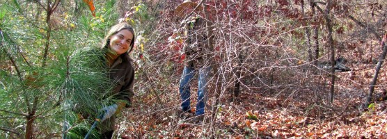 Volunteers working in the forest to help upkeep the ruins of a mill