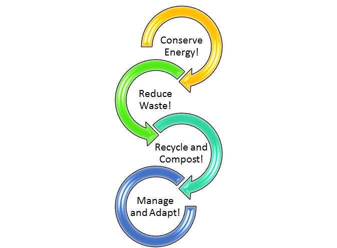 SmartArt graphic featuring four strategies to help the forest: conserving energy, reducing waste, recycling and composting, and managing and adapting to change