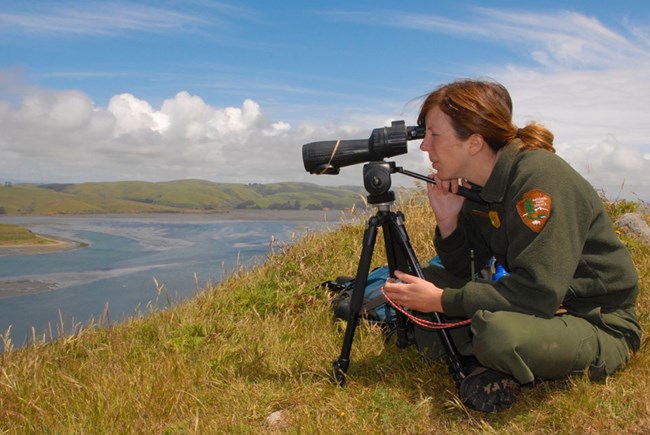 National Park Service biologist conducting a harbor seal survey at Point Reyes National Seashore