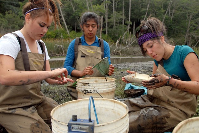 Students getting their hands dirty for a wetland field study