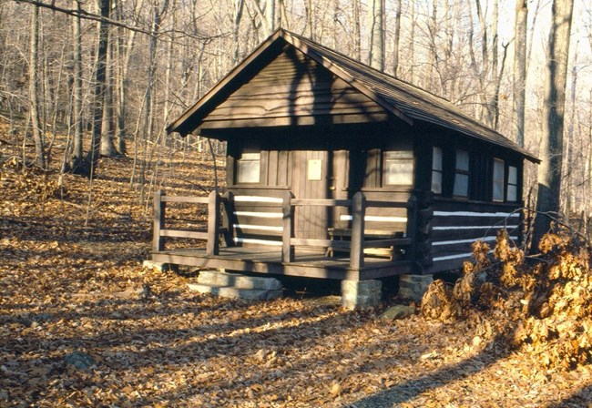 Exterior view of cabin 51 in Camp Misty Mount.