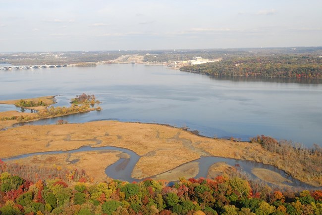 Aerial view of Dyke Marsh and the Potomac River below the Woodrow Wilson Bridge.