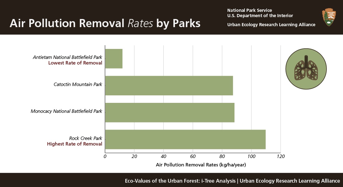 Air Pollution Removal Rates by Parks. Rock Creek has the highest rate (110 kg/ha/year) followed by Monocacy and Catoctin. Antietam has the lowest (12 kg/ha/year).